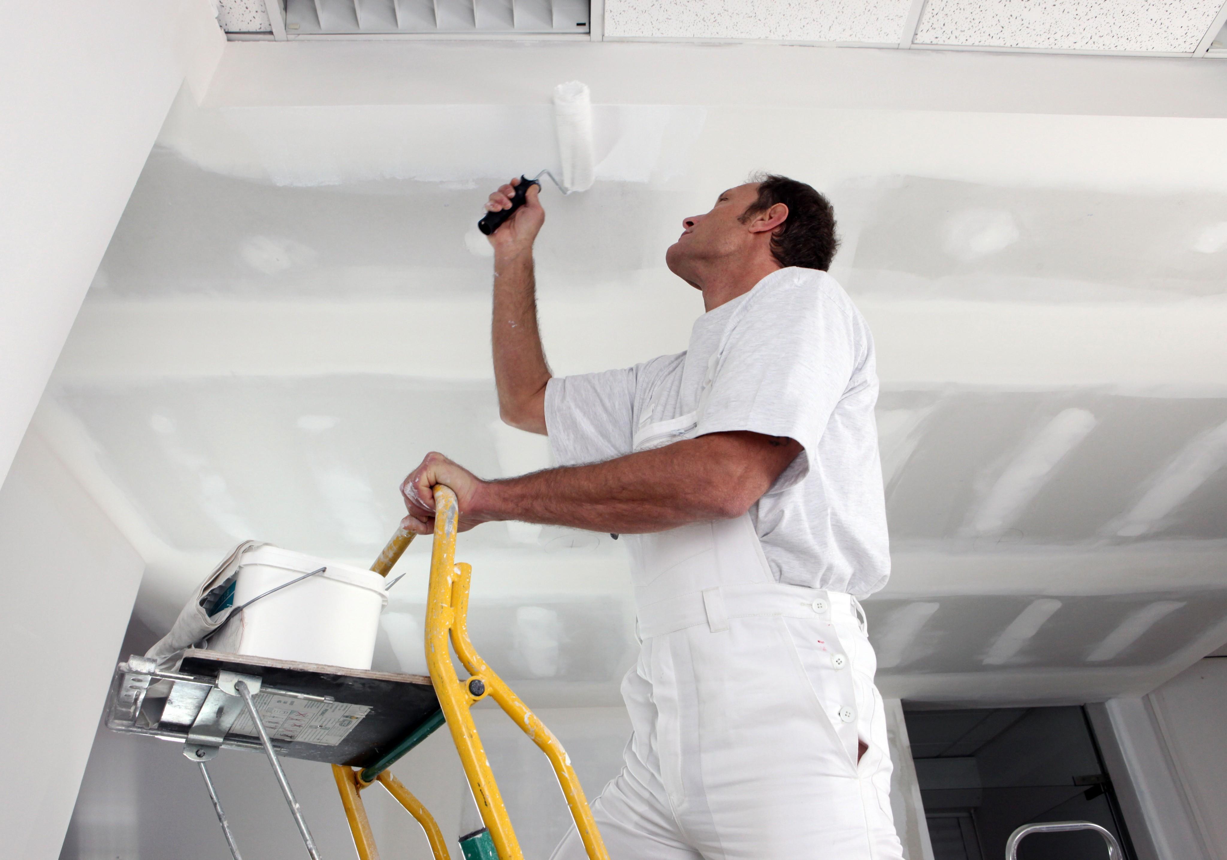 House Painters in Edmonton from Repaint Professionals
