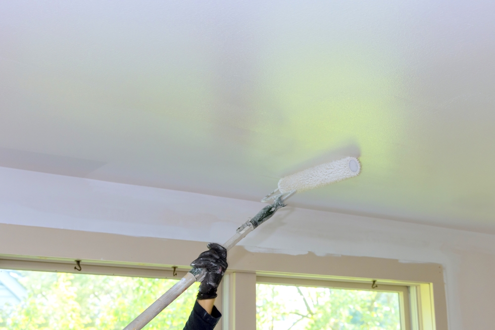 A high quality ceiling painter